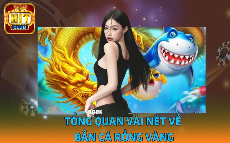 1 - Tong-quan-vai-net-ve-ban-ca-rong-vang