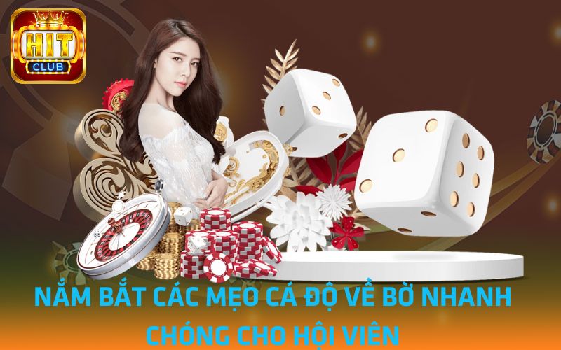 Nam-bat-cac-meo-ca-do-ve-bo-nhanh-chong-cho-hoi-vien