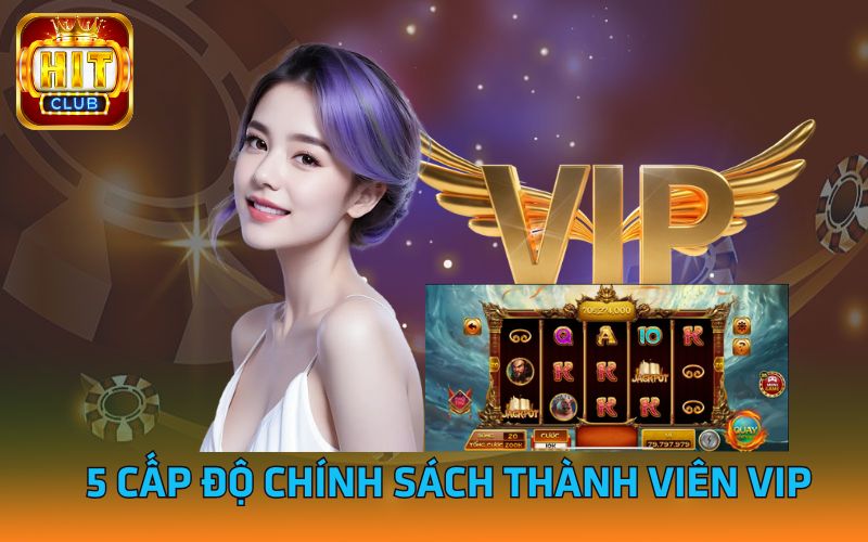 5 cấp độ chính sách thành viên VIP
